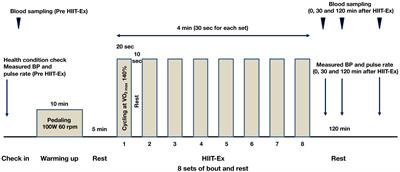 Protein Composition of Circulating Extracellular Vesicles Immediately Changed by Particular Short Time of High-Intensity Interval Training Exercise